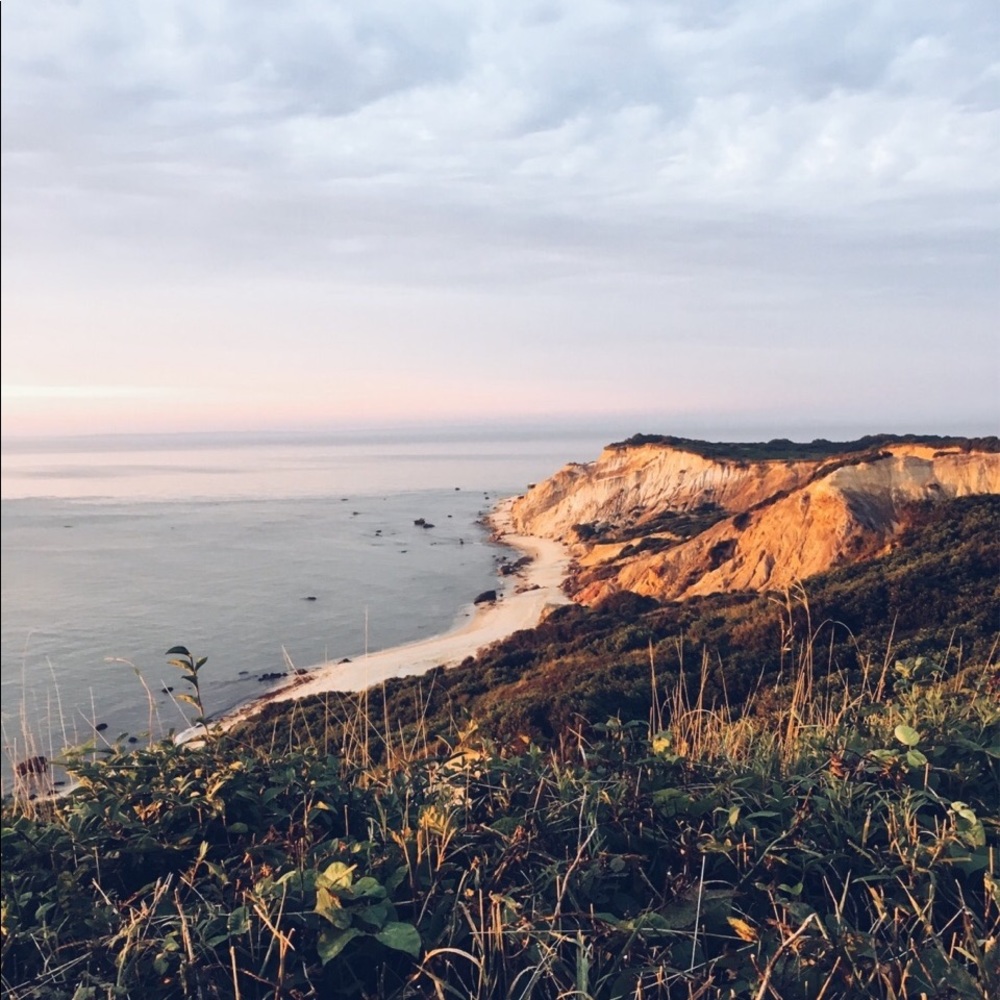 Meet your Posher, Avery